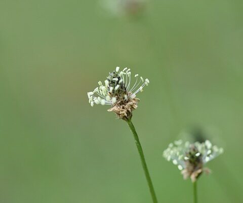 How to Get Rid of Split Ends Without Cutting: 7 Expert-Backed Tips