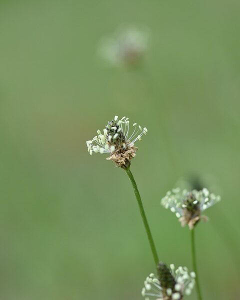 How to Get Rid of Split Ends Without Cutting: 7 Expert-Backed Tips
